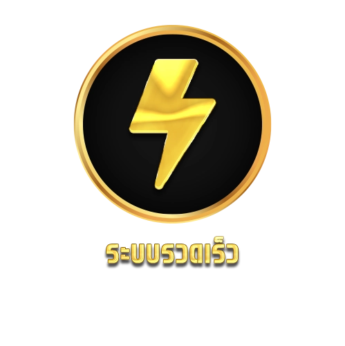 ทองดี ระบบรวดเร็ว
